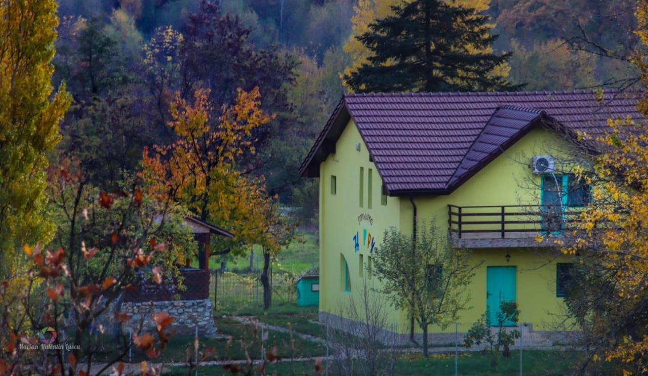 Pensiunea Happy Schitu Topolnitei Exteriör bild