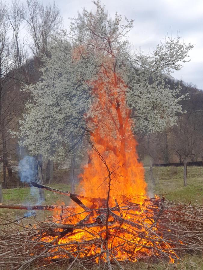 Pensiunea Happy Schitu Topolnitei Exteriör bild
